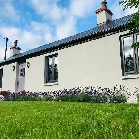Lavender Cottage - 2 Bedroom Home Нюбридж Екстериор снимка