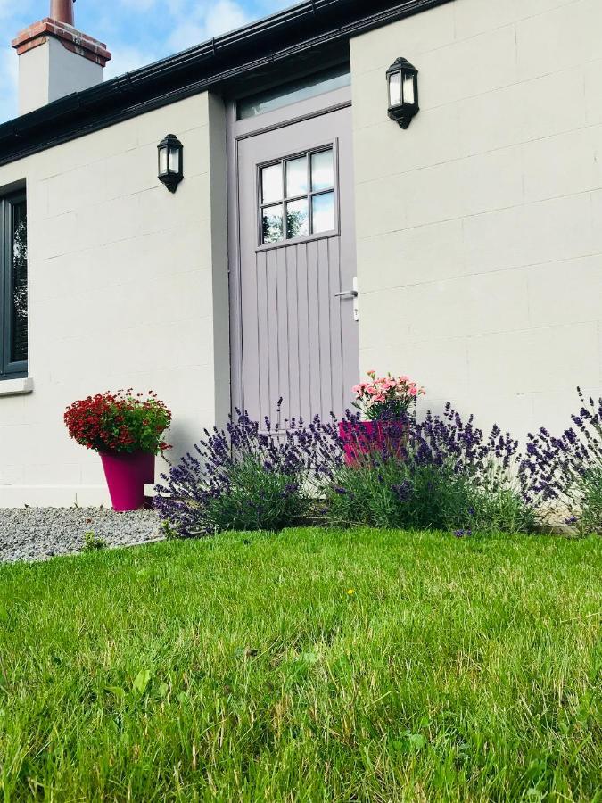 Lavender Cottage - 2 Bedroom Home Нюбридж Екстериор снимка